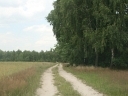 Poleski Park Krajobrazowy (000.jpg)