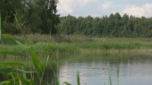 Jezioro Skomielno/ Skomelno
