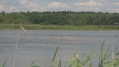Jezioro Skomielno/ Skomelno