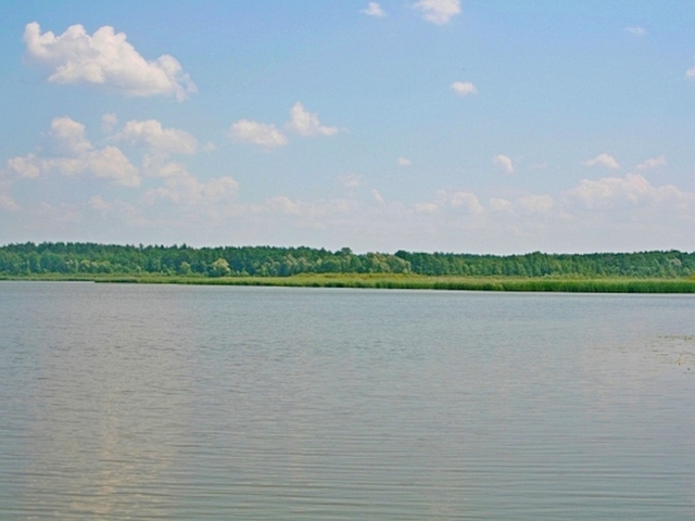 Jezioro Białe Sosnowickie/ Libiszowskie