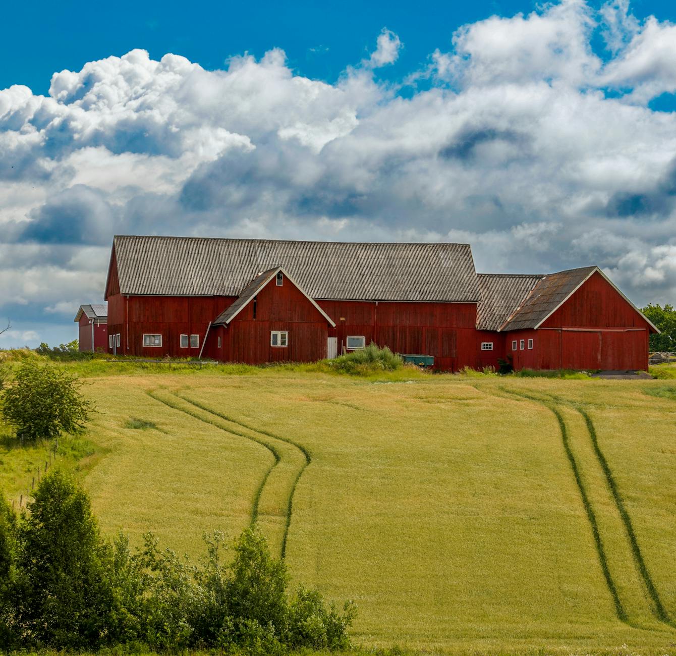 Czerwony wiejski dom wśród zielonych pól w spokojnej okolicy